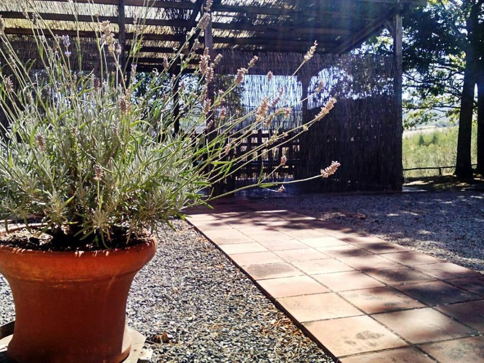 Agriturismo Podere Cherzo Cinigiano Εξωτερικό φωτογραφία