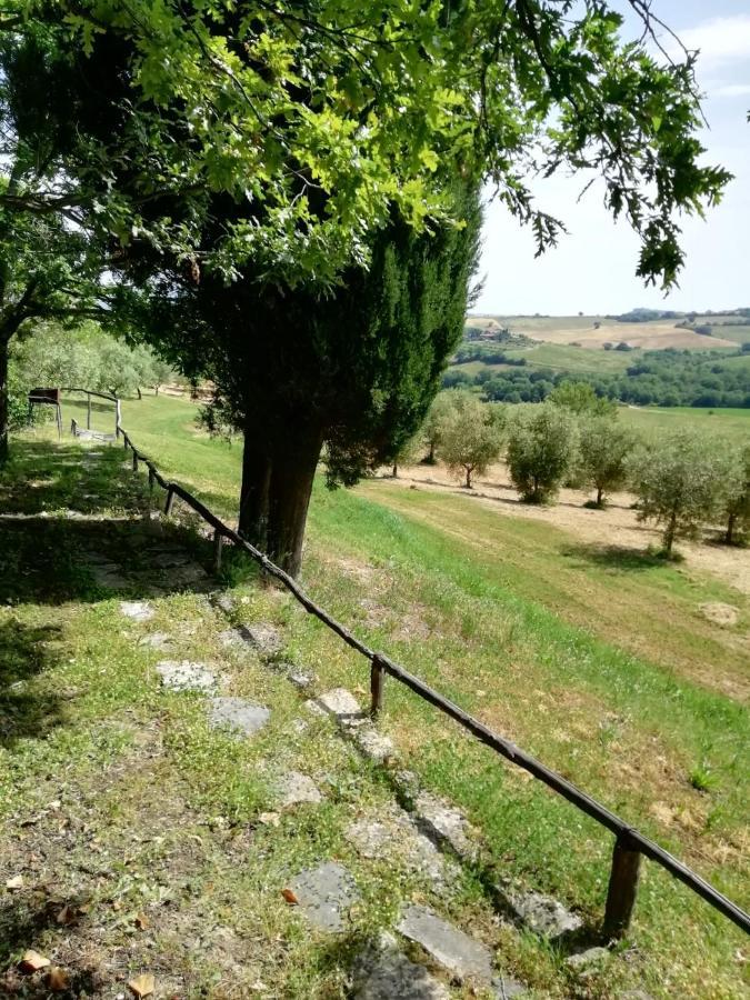 Agriturismo Podere Cherzo Cinigiano Εξωτερικό φωτογραφία