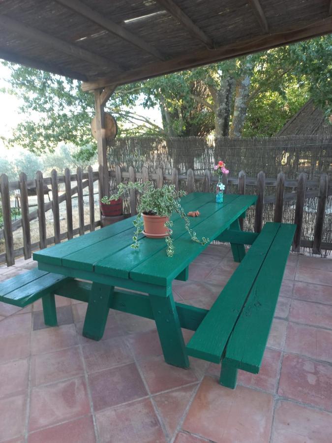Agriturismo Podere Cherzo Cinigiano Εξωτερικό φωτογραφία