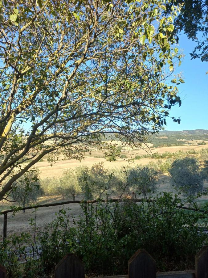 Agriturismo Podere Cherzo Cinigiano Εξωτερικό φωτογραφία
