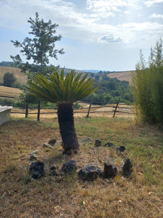 Agriturismo Podere Cherzo Cinigiano Εξωτερικό φωτογραφία