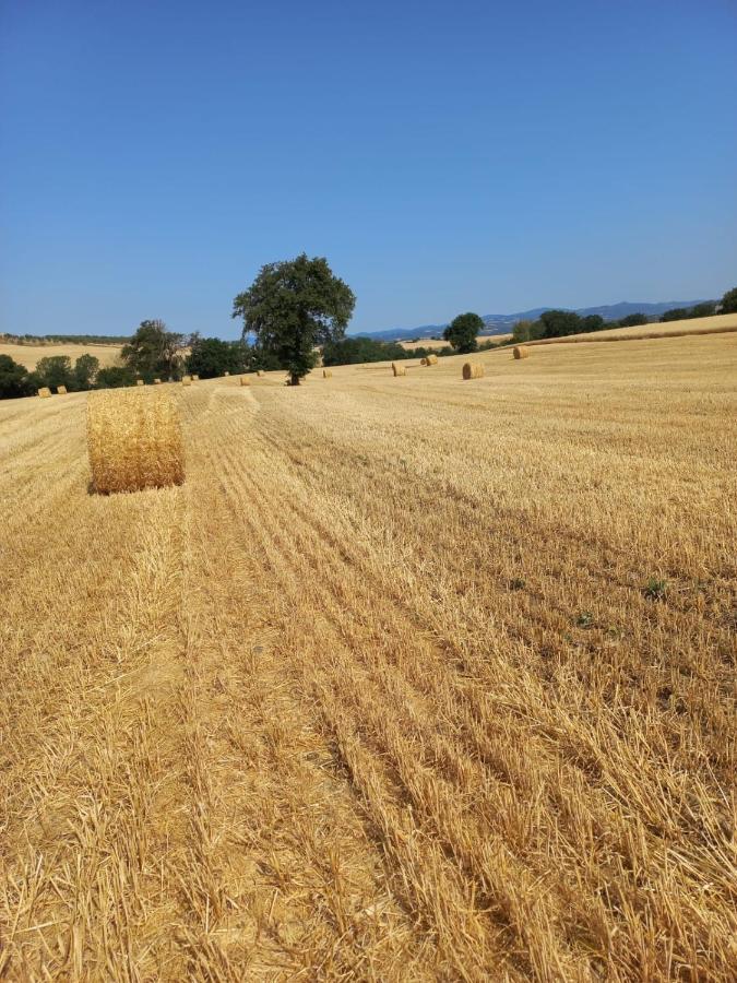 Agriturismo Podere Cherzo Cinigiano Εξωτερικό φωτογραφία