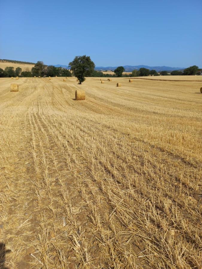 Agriturismo Podere Cherzo Cinigiano Εξωτερικό φωτογραφία