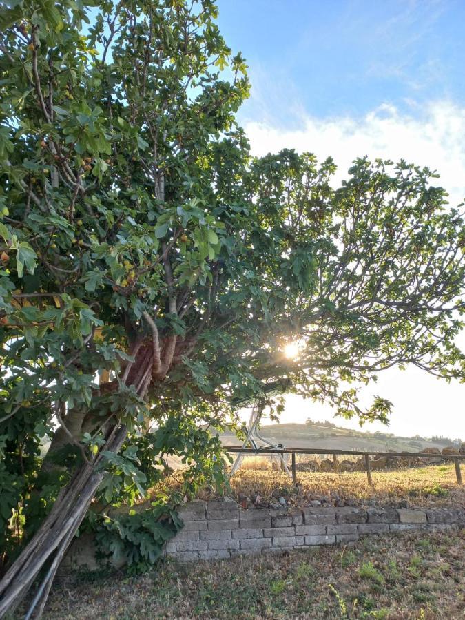 Agriturismo Podere Cherzo Cinigiano Εξωτερικό φωτογραφία