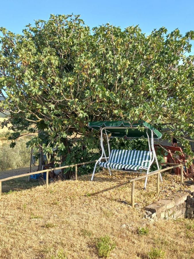 Agriturismo Podere Cherzo Cinigiano Εξωτερικό φωτογραφία