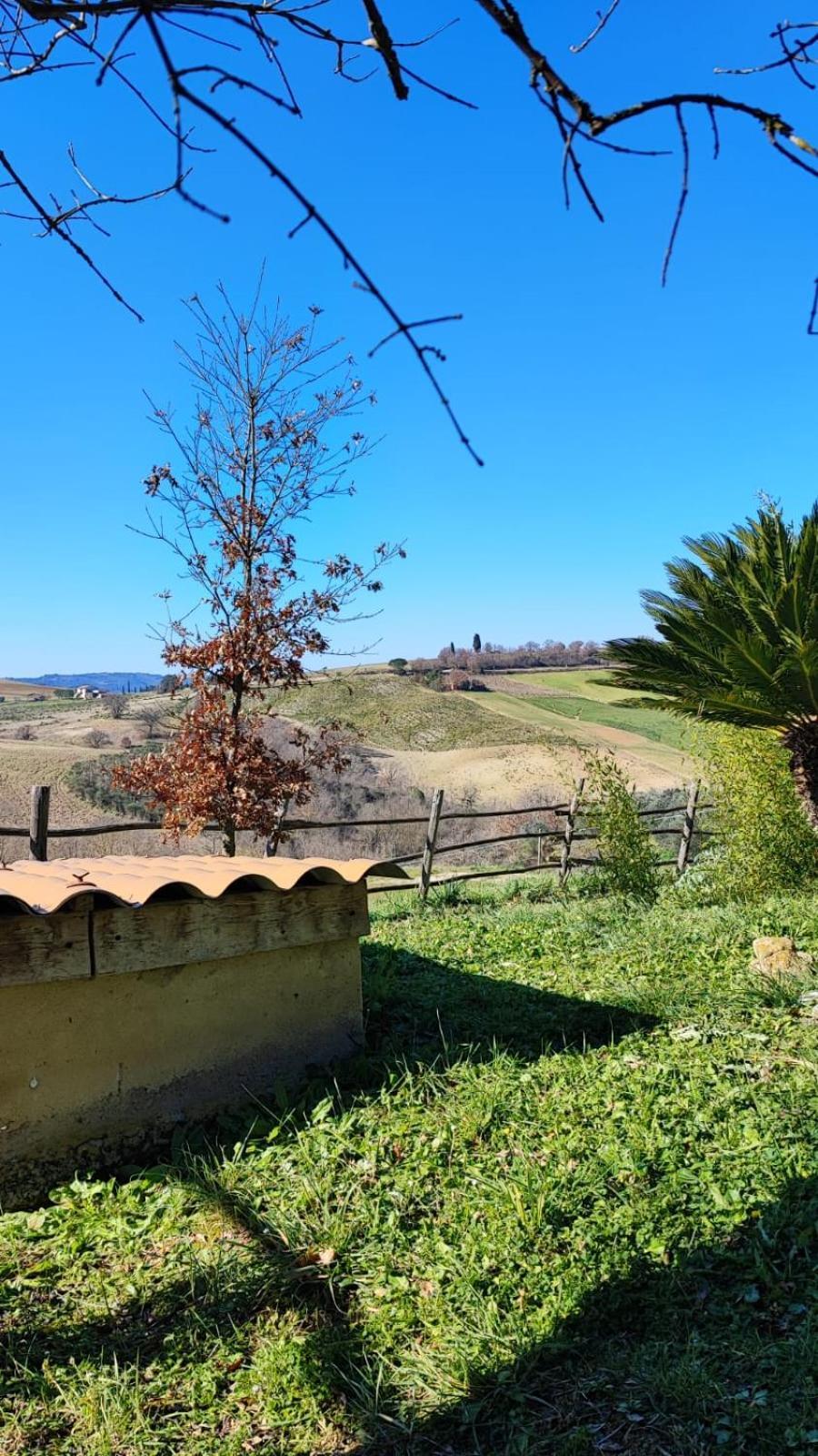 Agriturismo Podere Cherzo Cinigiano Εξωτερικό φωτογραφία