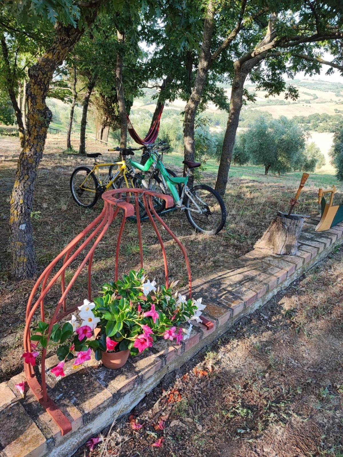Agriturismo Podere Cherzo Cinigiano Εξωτερικό φωτογραφία