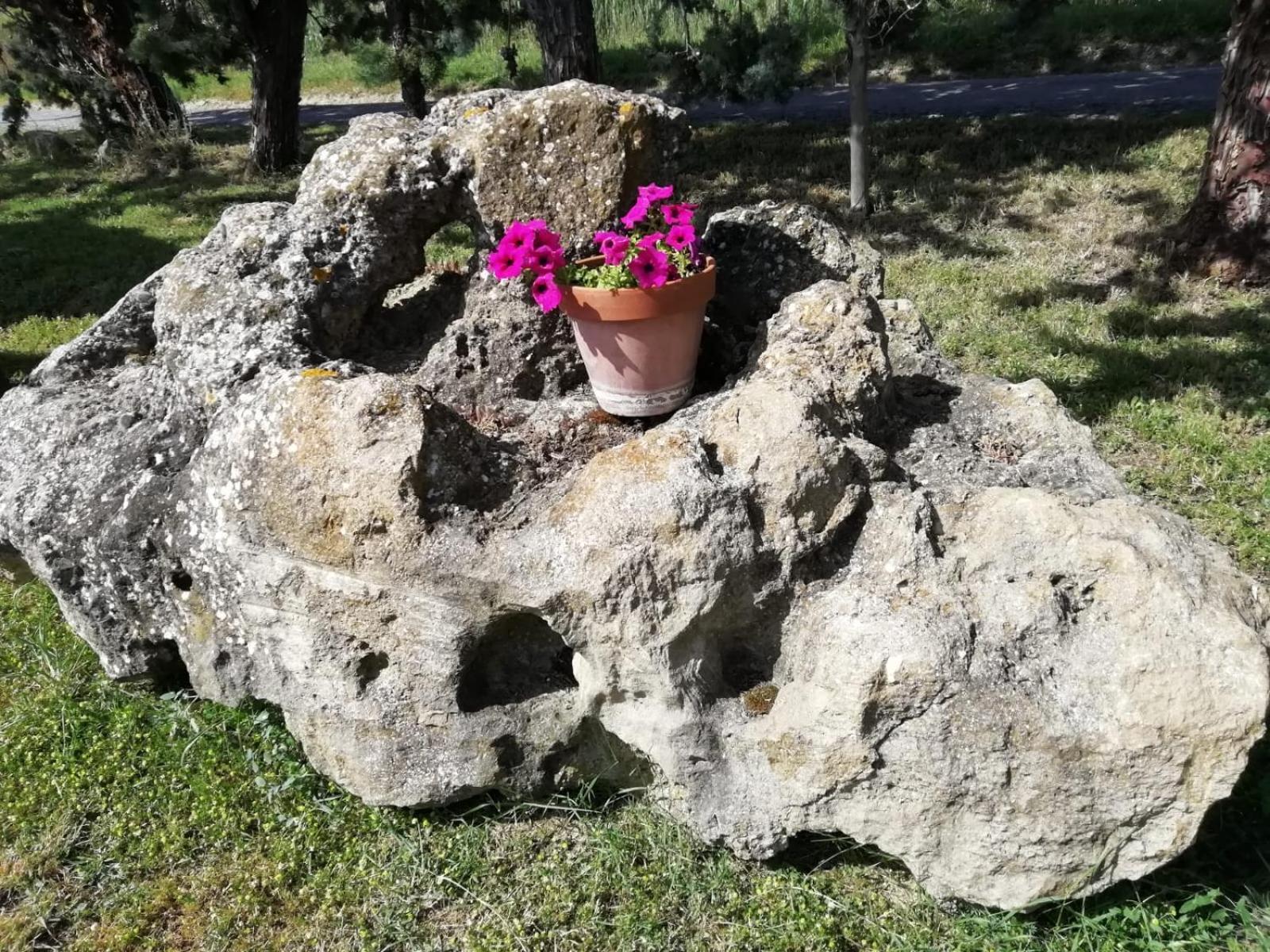 Agriturismo Podere Cherzo Cinigiano Εξωτερικό φωτογραφία